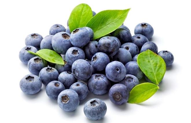 Bilberry Extract